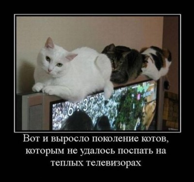 Новое поколение.jpg