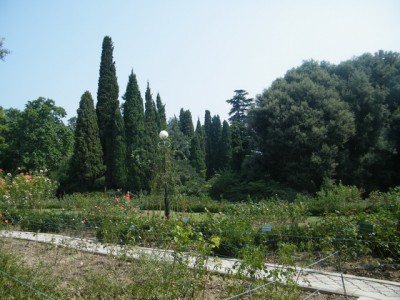 7 (18).JPG