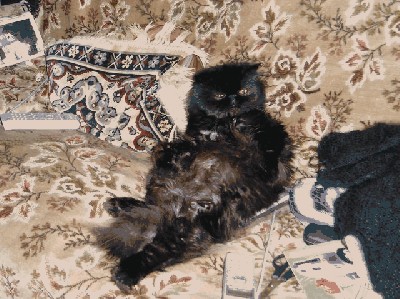 Копия P2240660.JPG (97.12 KiB) Просмотров: 2384 Копия P2240660.JPG