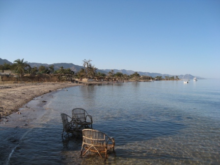 Копия IMG_0706.jpg