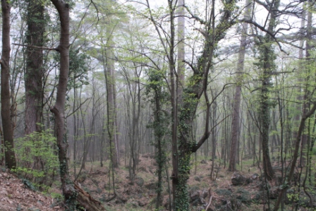 Копия IMG_4841.jpg