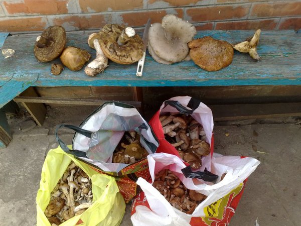 Улов.jpg (114.39 KiB) Просмотров: 1928 Улов.jpg