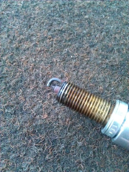 IMAG0235.jpg (183.43 KiB) Просмотров: 7879 IMAG0235.jpg