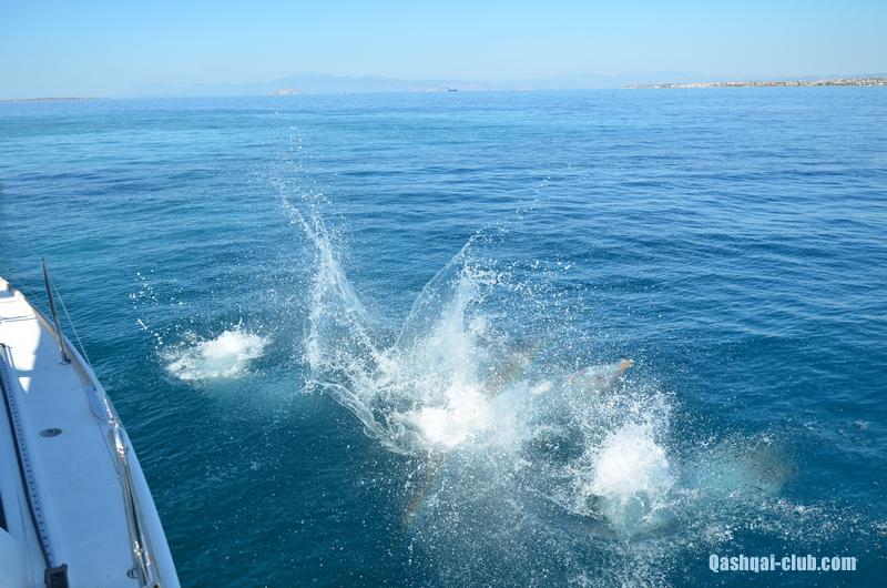 Греция 2012 - 23