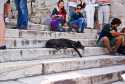 Greece-61