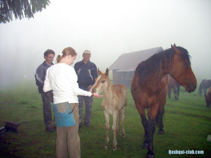 2013-07 14-21-Karpaty 013