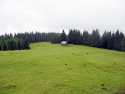 2013-07 14-21-Karpaty 032
