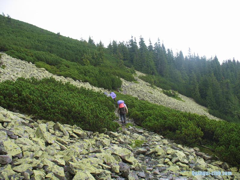 2013-07 14-21-Karpaty 056
