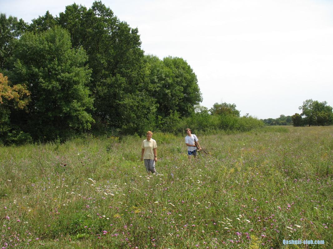 026-2bivak-Toma-Dima-drova