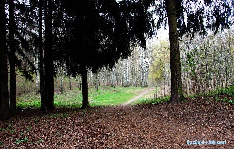 2014-04-13-Poltavaq-Dendropark 010