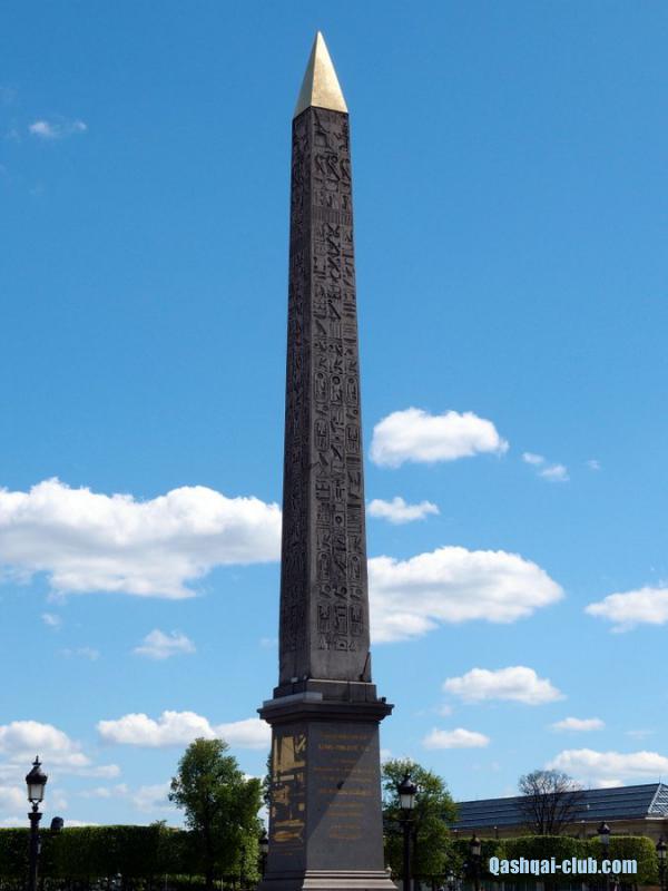 P5015523