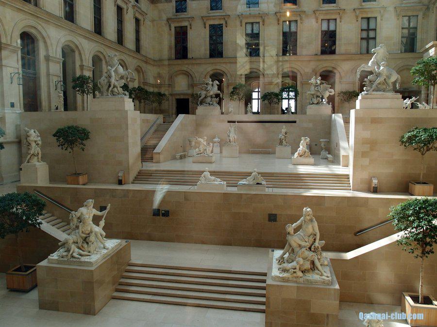 P5015586